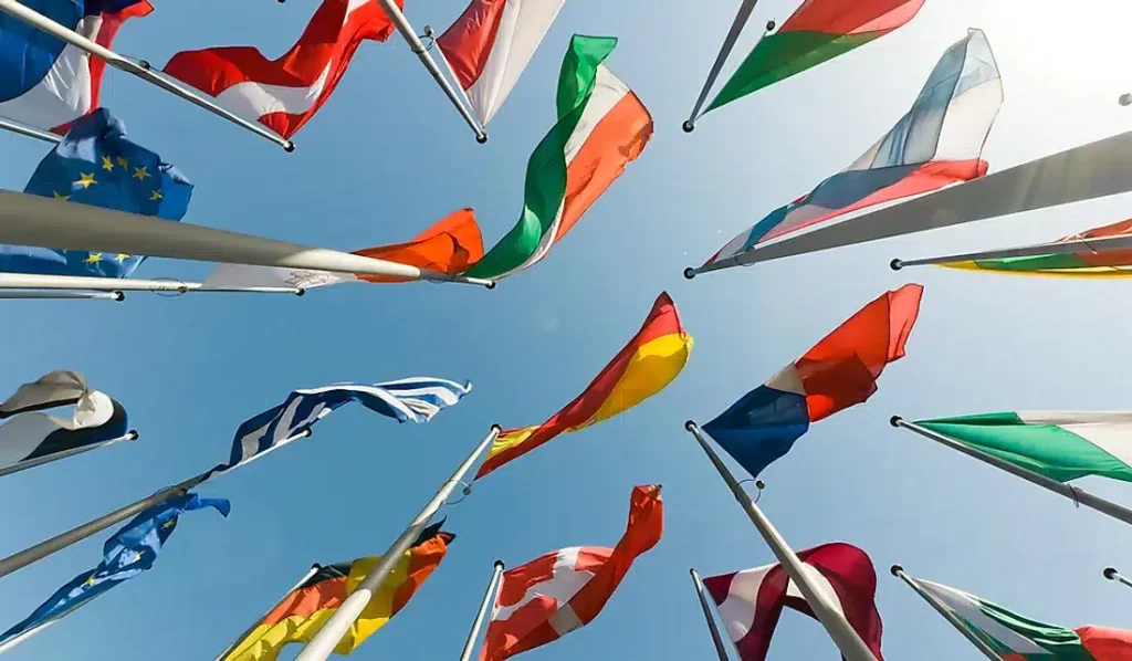 handheld country flags printing in johannesburg political flags